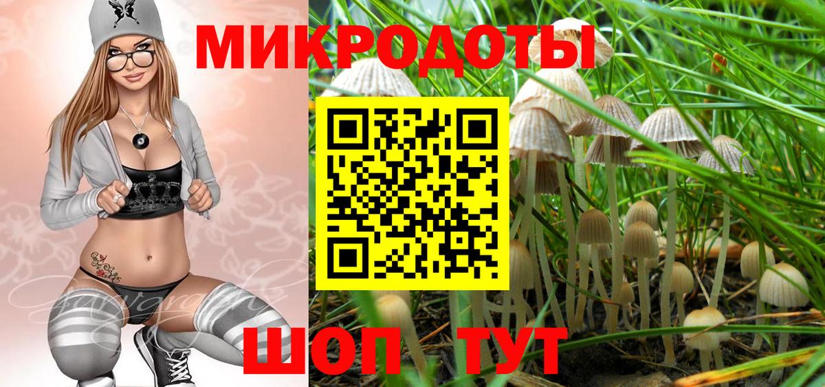 Галлюциногенные грибы мухоморы Серпухов