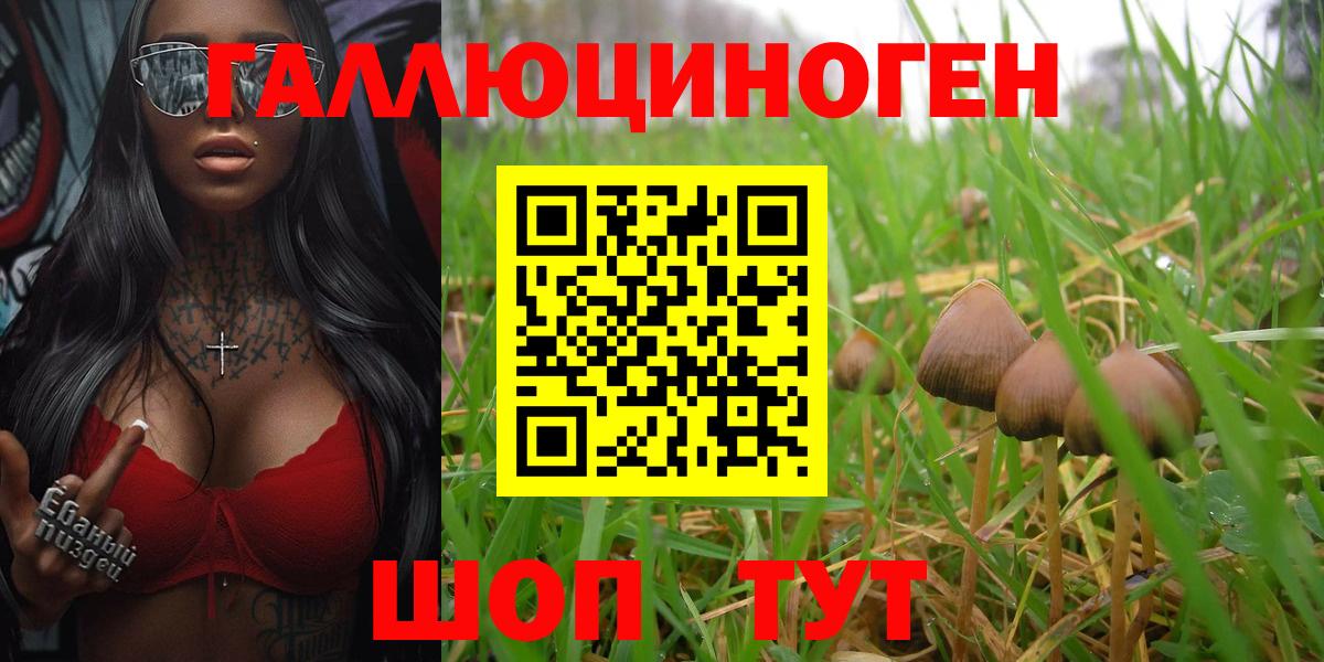 Серпухов  Галлюциногенные грибы Psilocybine cubensis  что такое наркотик  Вход с VPN  Галлюциногенные грибы GOLDEN TEACHER 